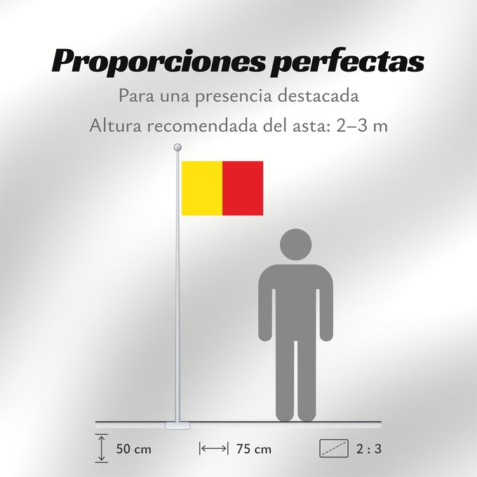 Proporciones de la bandera: Naples	Province of Naples	Province de Naples	Provincia de Naples	Provinz Naples	Napoli