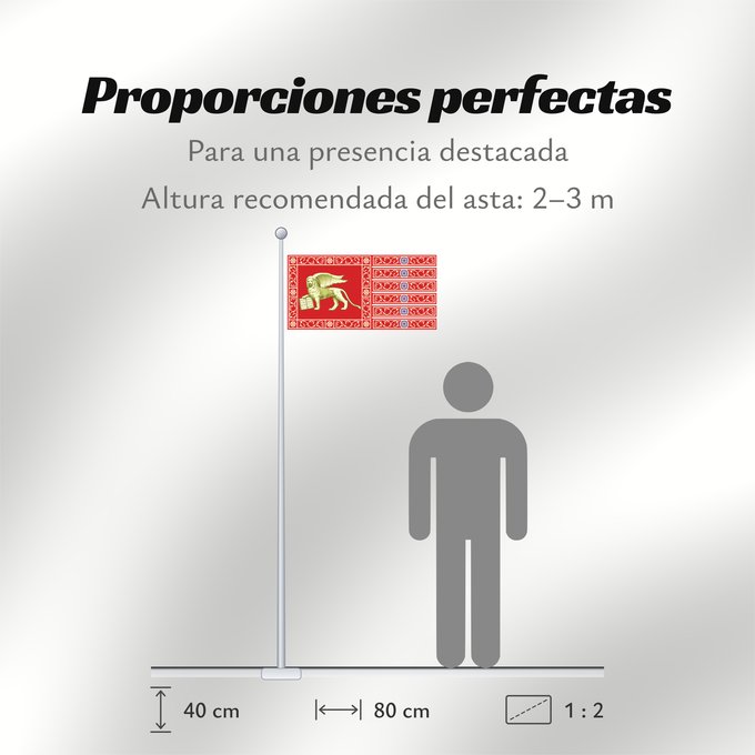 Proporciones de la bandera: Most Serene Republic of Venice Province of Venice Venise Provincia de Venecia Provinz Venedig Provincia di Venezia Republic of Venice