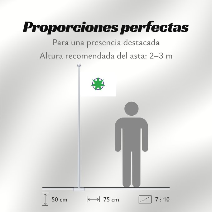 Proporciones de la bandera: Aomori