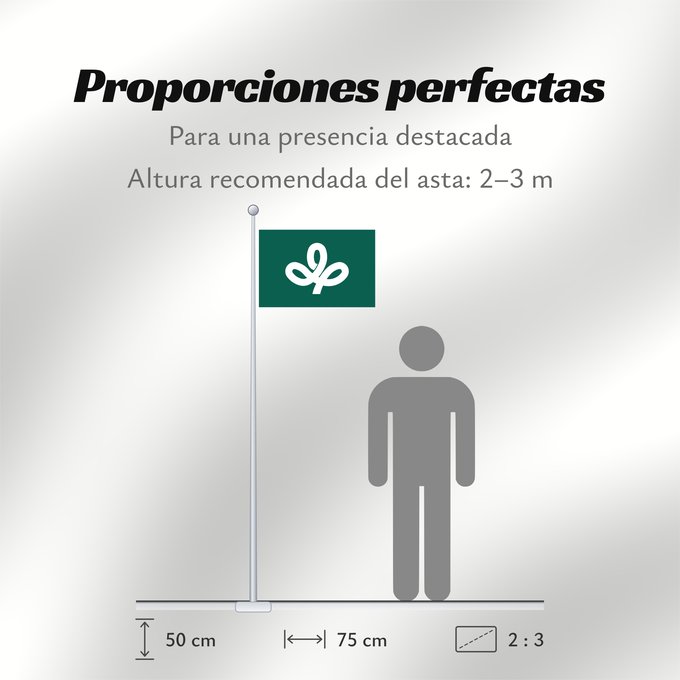 Proporciones de la bandera: Miyagi Prefecture	préfecture de Miyagi	prefectura de Miyagi	Präfektur Miyagi,	Prefettura di Miyagi	宮城県旗