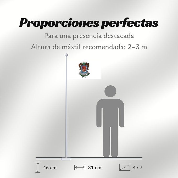 Proporciones de la bandera: Michoacan Michoacán