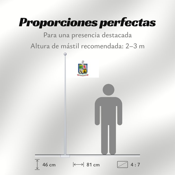 Proporciones de la bandera: Nuevo Leon Nuevo León