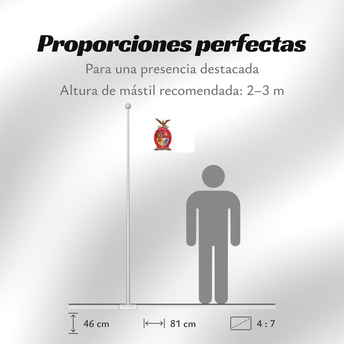 Proporciones de la bandera: Sinaloa