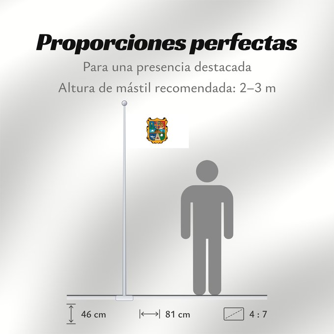 Proporciones de la bandera: Tamaulipas