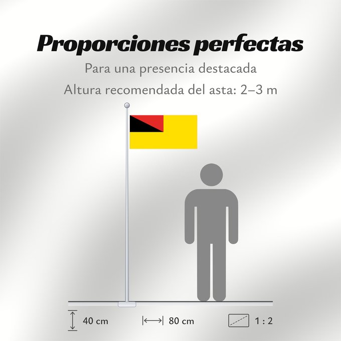 Proporciones de la bandera: Negeri Sembilan	Negeri Sembilan, a state of Malaysia