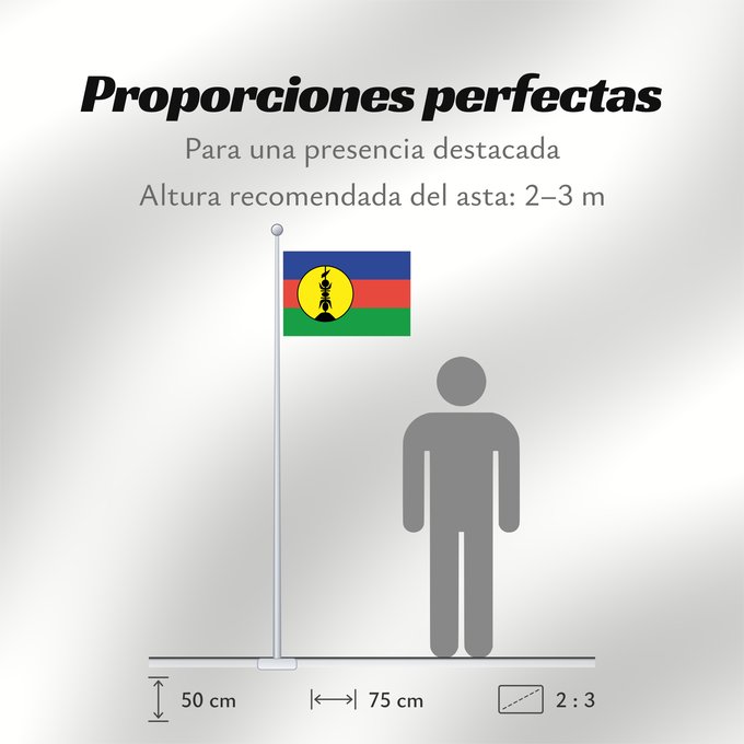 Proporciones de la bandera: FLNKS	Kanak and Socialist National Liberation Front political party	Front de libération nationale kanak et socialiste	Colores Pantone http //www	Neukaledonien	Nuova Caledonia	Front d Alliberament Nacional Canac Socialista