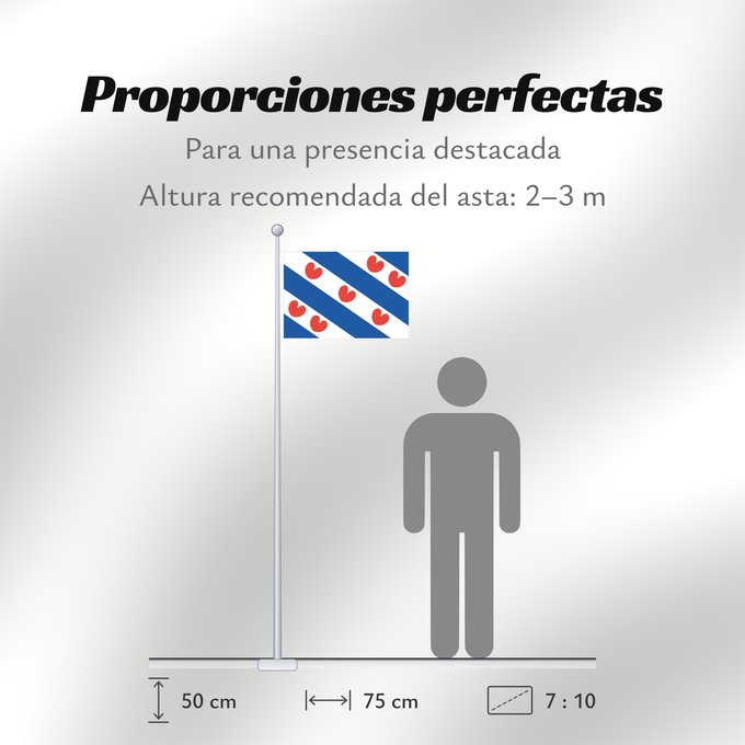 Proporciones de la bandera: Frisian	Dutch province of Friesland	Frise	Frisia	Friesland	De Friese vlag en het wapen hebben een gemeenschappelijke herkomst