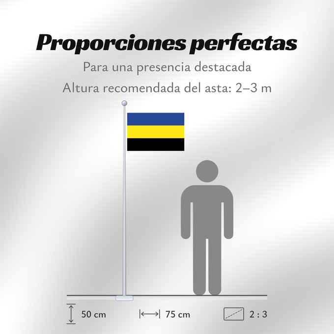 Proporciones de la bandera: Gelderland	Province of Gelderland in the Netherlands	Güeldres	Gelderland 