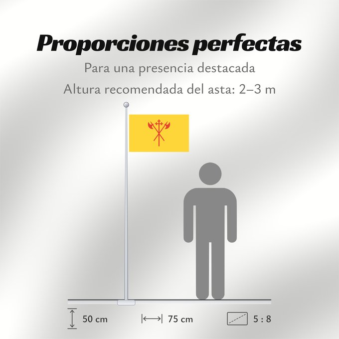 Proporciones de la bandera: Sør-Trøndelag	Sør-Trøndelag County, Norway	comté de Sør-Trøndelag