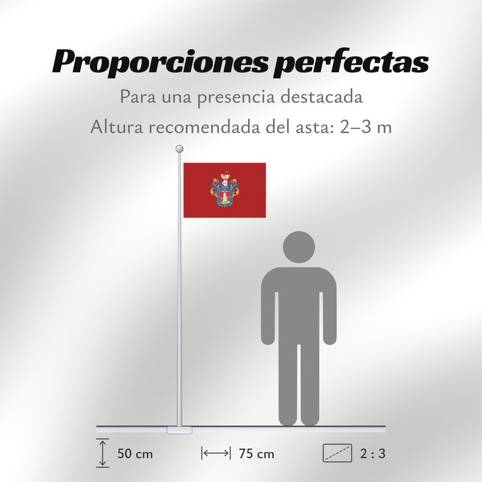 Proporciones de la bandera: Arequipa
