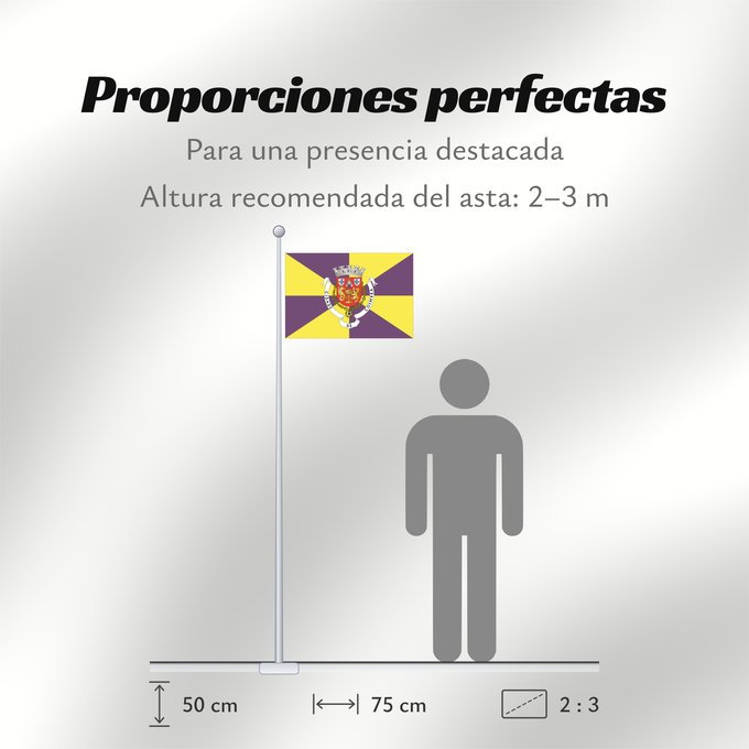 Proporciones de la bandera: Coimbra