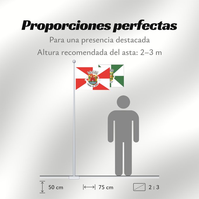 Proporciones de la bandera: Leiria