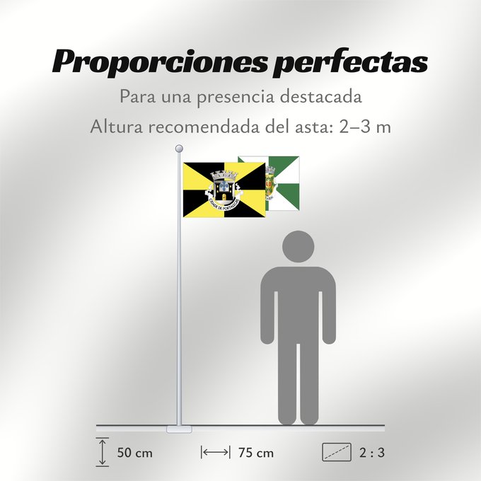 Proporciones de la bandera: Portalegre