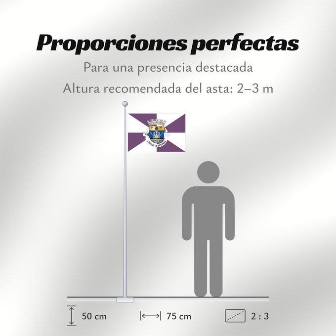 Proporciones de la bandera: Setúbal