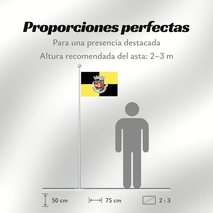 Proporciones de la bandera: Viana do Castelo