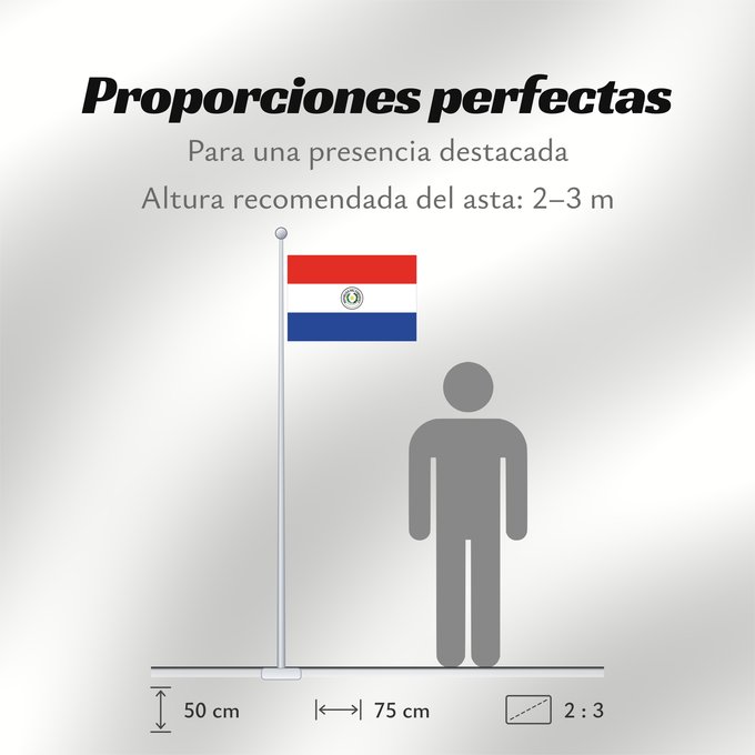 Proporciones de la bandera: Paraguay	Paraguay  obverse	علم باراغواي	پرچم پاراگوئه  روی پرچم	Флаг Парагвая