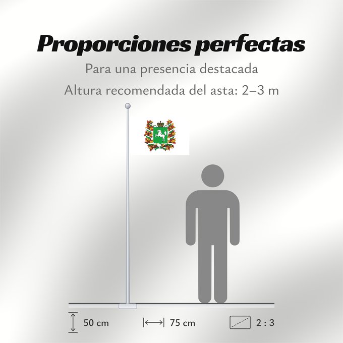 Proporciones de la bandera: Tomskaya oblast'