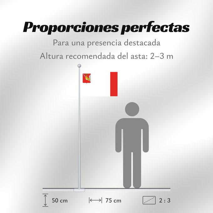 Proporciones de la bandera: Vologda Oblast	Vologda Oblast 	Oblast de Vologda	Óblast de Vólogda	Oblast Wologda