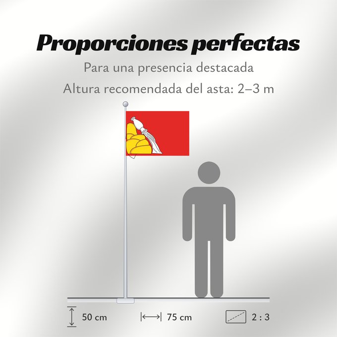 Proporciones de la bandera: Voronezh Oblast	Voronezh Oblast of Russia	Oblast de Voronej	Óblast de Vorónezh	Oblast Woronesch	Флаг Воронежской области  Россия	Прапор Воронезької області  Росія