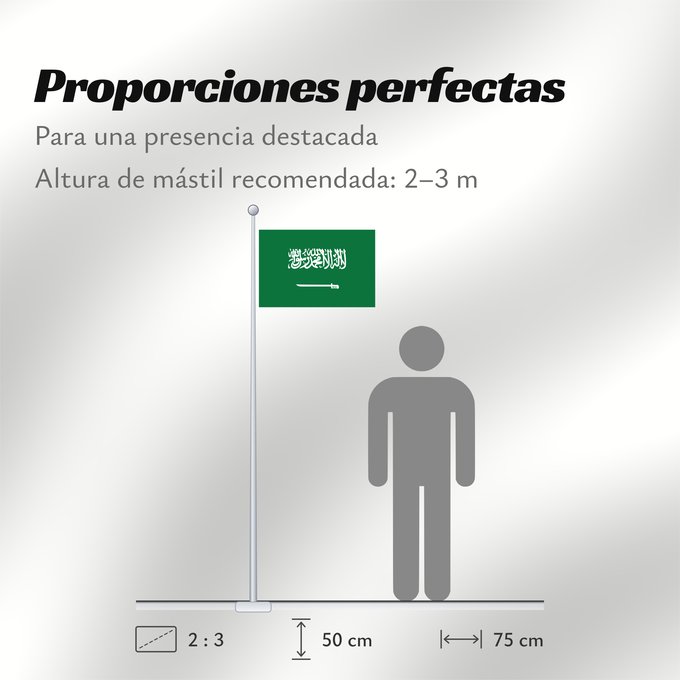 Proporciones de la bandera: Civil Ensign of Saudi Arabia obverse Saudi Arabia Arabie saoudite Arabia Saudita Saudi-Arabien