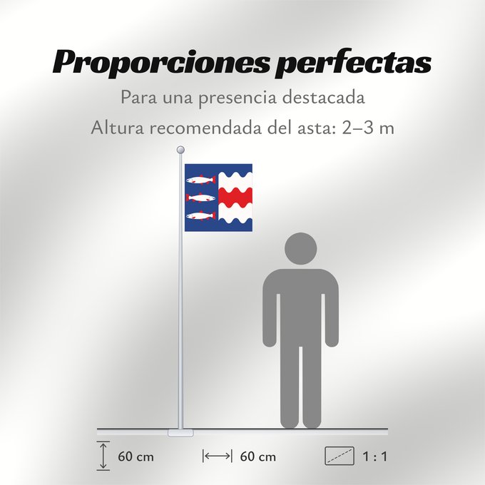 Proporciones de la bandera: Västernorrlands län
