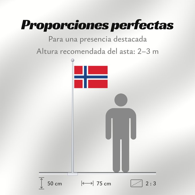 Proporciones de la bandera: Svalbard and Jan Mayen
