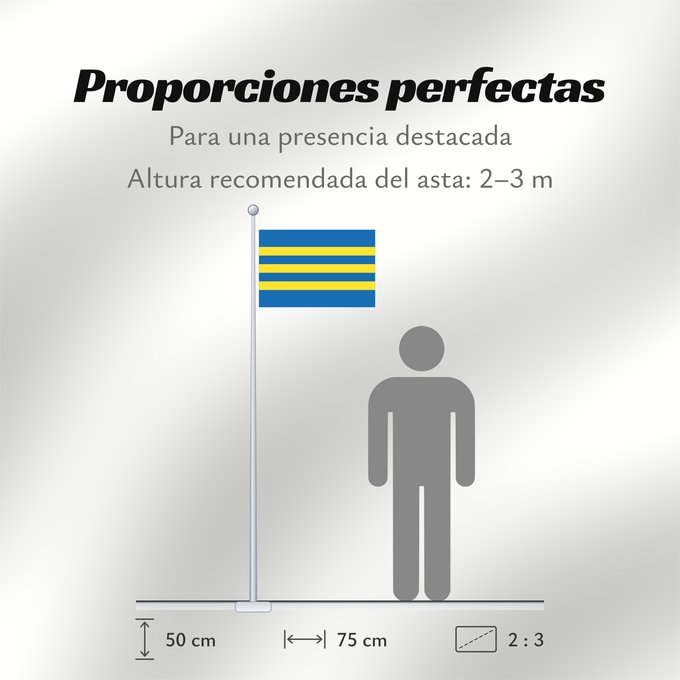 Proporciones de la bandera: Trnavsky vlajka	Trnava Region	Région de Trnava	Región de Trnava	Trnava	Trnava Regione