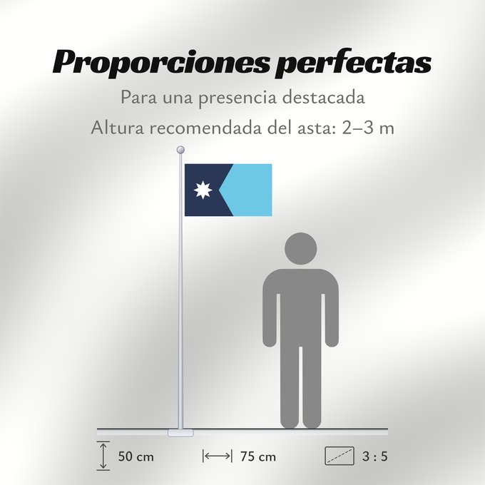 Proporciones de la bandera: Minnesota	Minnesota, since May 11, 2024