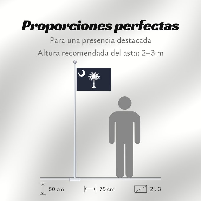 Proporciones de la bandera: South Carolina Caroline du Sud Carolina del Sur Carolina del Sud علم كارولاينا الجنوبية ᏐᎦᎴᏂ ᎦᏓᏘ Ka hae Kalolaina Hema Carolinae Meridionalis Shádiʼááhjí Kééláanah Hahoodzo bidah naatʼaʼí Флаг Южной Каролины Američke savezne države Južne Karoline
