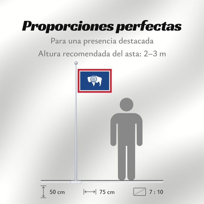 Proporciones de la bandera: Wyoming	Ka hae Waiomina	Vyominae	Wááʼóómii Hahoodzo bidah naatʼaʼí	Флаг Вайоминга	Američke savezne države Vajoming