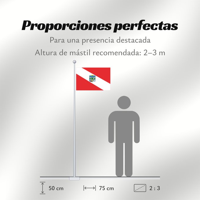 Proporciones de la bandera: Tacuarembó