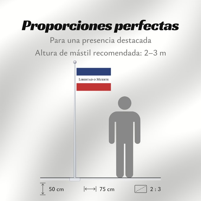 Proporciones de la bandera: Treinta y Tres	Treinta y Tres Orientales
