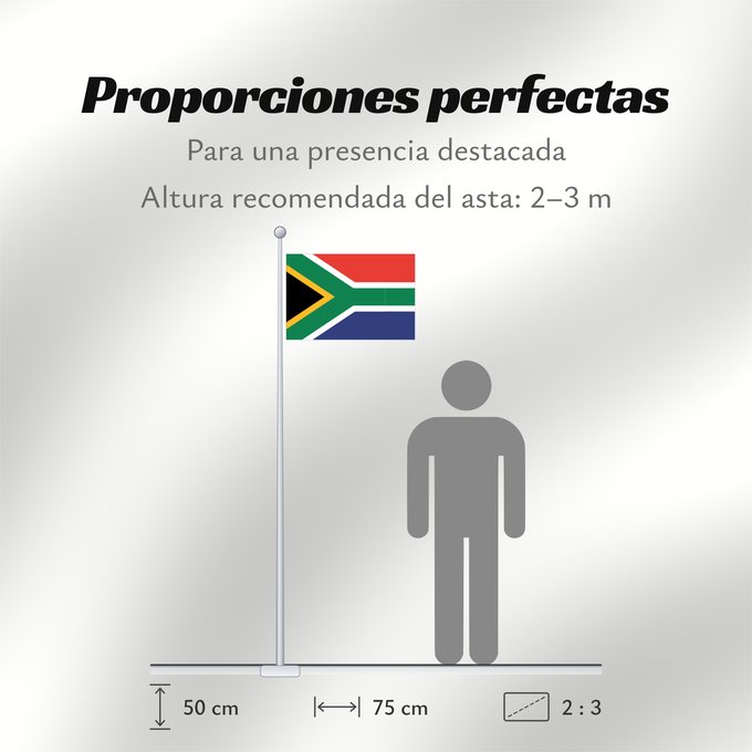 Proporciones de la bandera: South Africa	Afrique du Sud	Sudáfrica	Südafrika	Sudafrica	South África Used color National flag | South African Government and Pantone Color Picker      green rendered as RGB 000 119 073Pantone 3415 C      yellow rendered as RGB 255 184 028Pantone 1235 C 