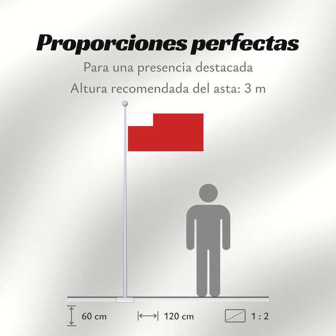 Proporciones de la bandera: Abu Dhabi	D Abou Dabi	علم أبو ظبي	Abu Dabi	Прапор Абу-Дабі