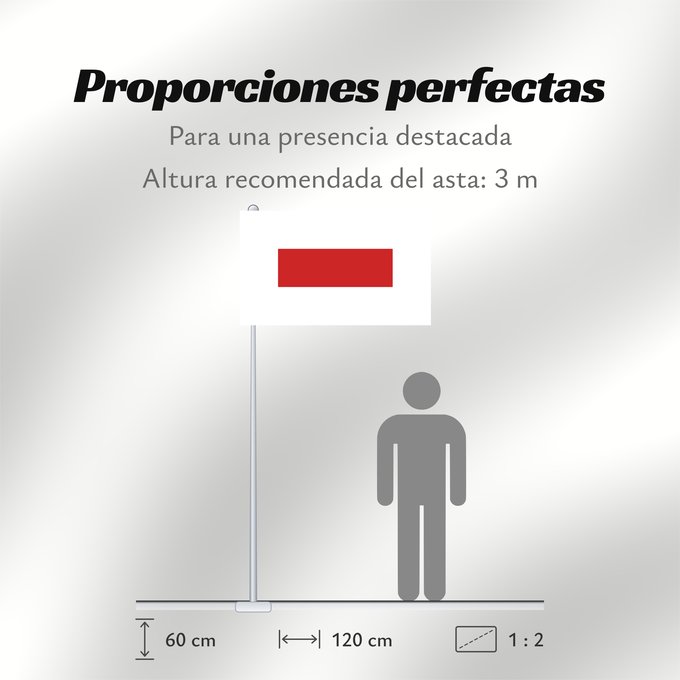 Proporciones de la bandera: Ra’s al Khaymah