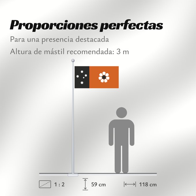 Proporciones de la bandera: Northern Territory	Northern Territory  adopted on July 1, 1978 on the first day of self-government  was designed by the Australian artist Robert Ingpen	Territoire du Nord	Territorio del Norte