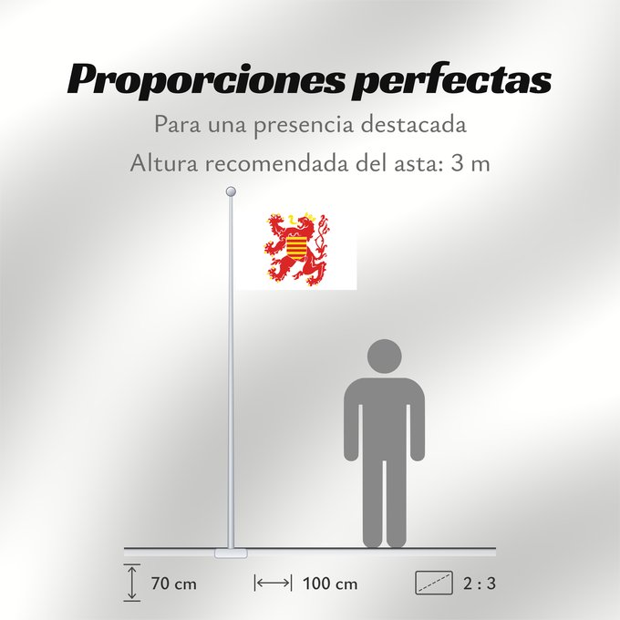 Proporciones de la bandera: Limburg (nl)