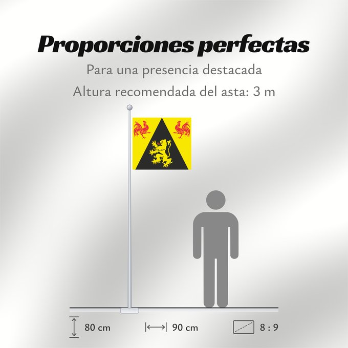 Proporciones de la bandera: Province BE Brabant Wallon Walloon Brabant Brabant wallon Brabante Valón Wallonien Brabant Brabante Vallone