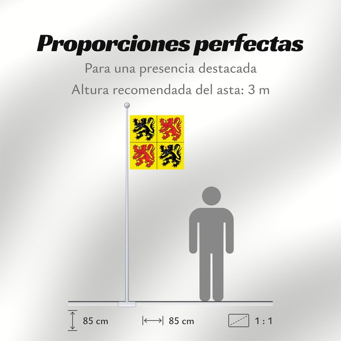 Proporciones de la bandera: Hainaut	Hainaut, province de la Belgique	Henao	Hennegaus, belgische Provinz	Henegouwen, provincie van België