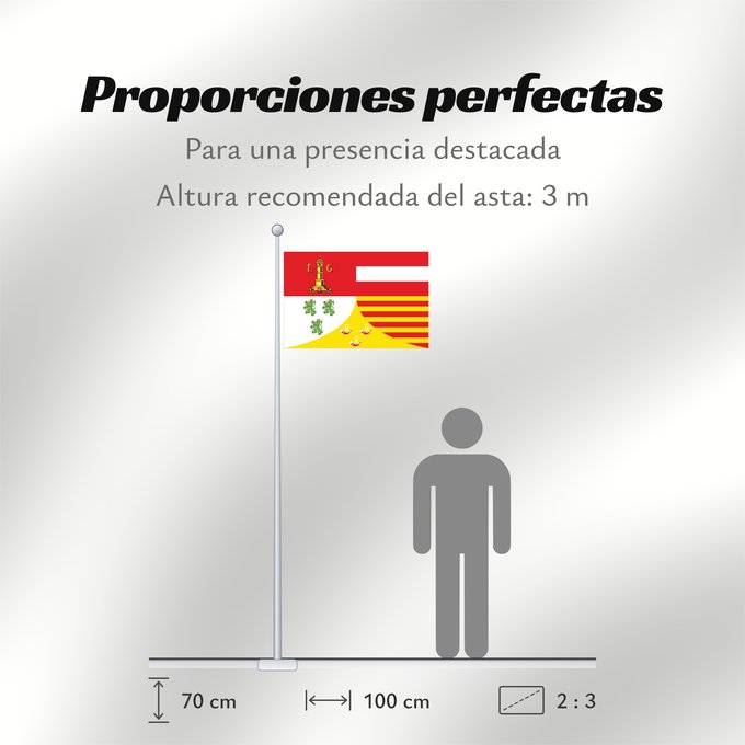 Proporciones de la bandera: Liège (fr)