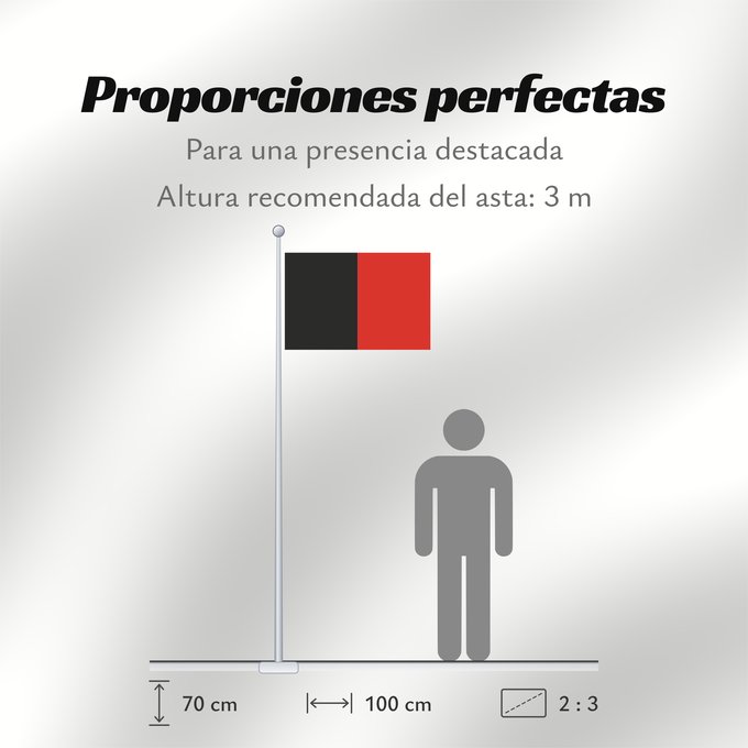 Proporciones de la bandera: Namur Province Namur Shows the flag of the province of Namur in Belgium