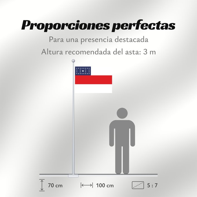 Proporciones de la bandera: Amazonas	Amazonas, state of Brazil	L’Amazonas, état du Brésil	Amazonas, Brasil	Amazonas, stato del Brasile	Estado do Amazonas, Brasil	علم أمازوناس، دولة البرازيل	Σημαία της Αμαζόνας	پرچم آمازوناس دولت برزیل	דגל אמסונס, מדינת ברזיל	अमेज़न	Banyè fanmi Amazo