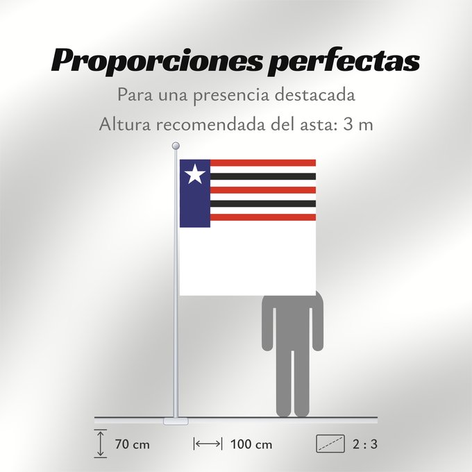 Proporciones de la bandera: Maranhão