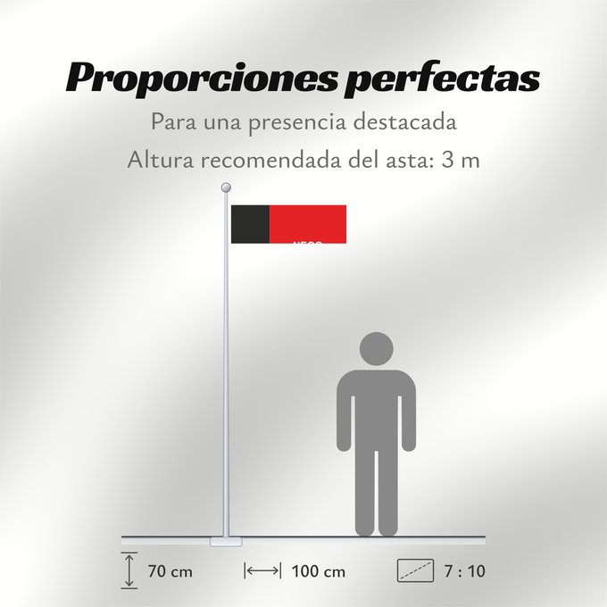 Proporciones de la bandera: Paraíba