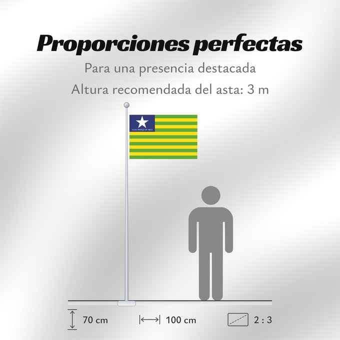 Proporciones de la bandera: Piauí
