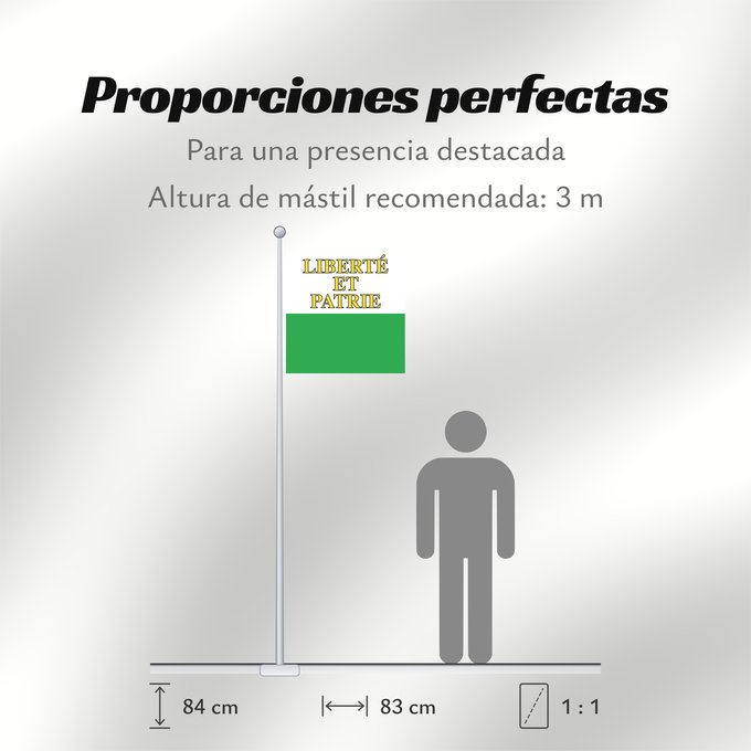 Proporciones de la bandera: Canton of Vaud	Vaud	canton de Vaud	República y cantón de Vaud	Vaud 