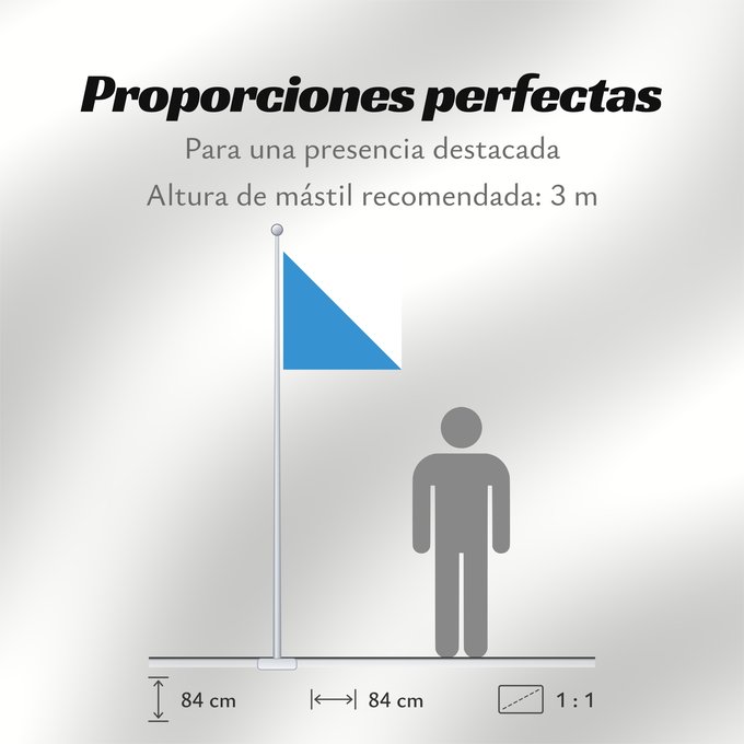 Proporciones de la bandera: Zürich (de)