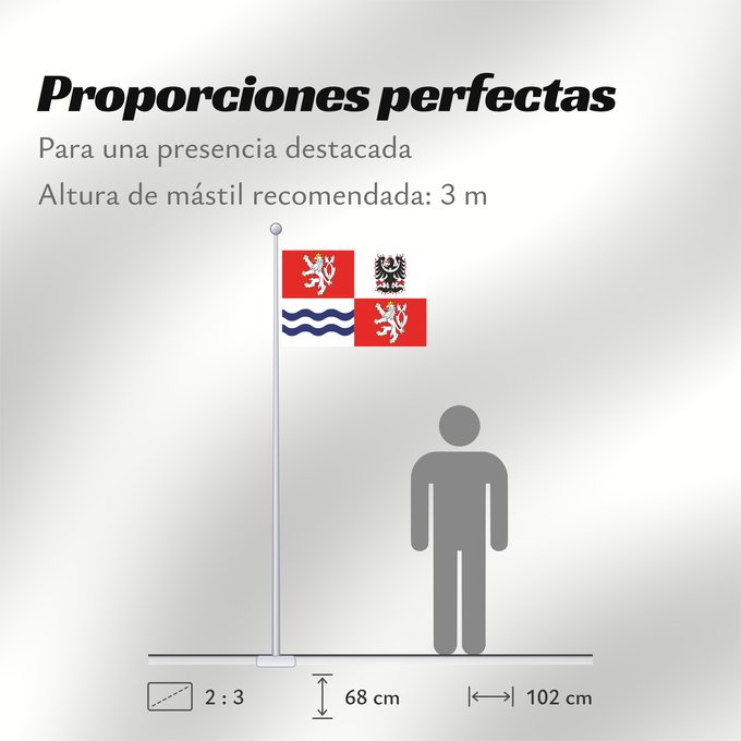 Proporciones de la bandera: Central Bohemian Region	Région de Bohême centrale	Región de Bohemia Central	Mittelböhmische Region