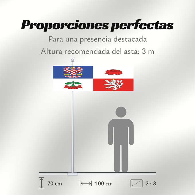 Proporciones de la bandera: Vysocina Region	Vysočina Region	Région de Vysočina	Región de Vysočina	Region Vysočina