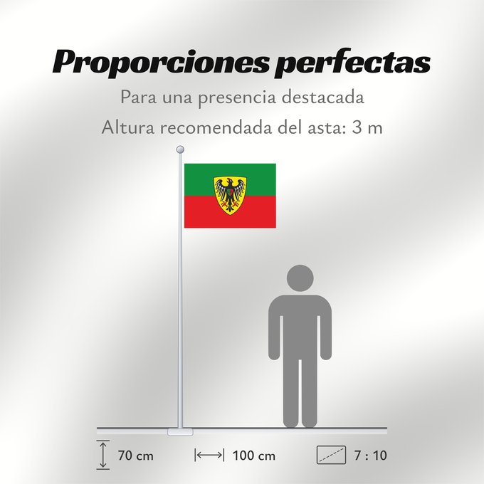 Proporciones de la bandera: Esslingen am Neckar (Region Stuttgart)